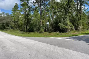 Lot 19 NW Mallard Ave, Dunnellon, FL 34431 - Photo 1