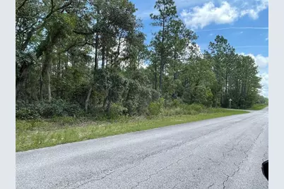 Lot 19 NW Mallard Avenue, Dunnellon, FL 34431 - Photo 3
