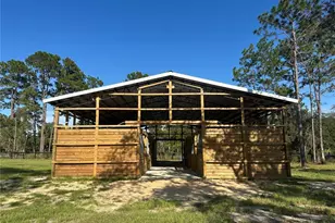 11670 SE 55th Ln, Morriston, FL 32668 - Photo 9