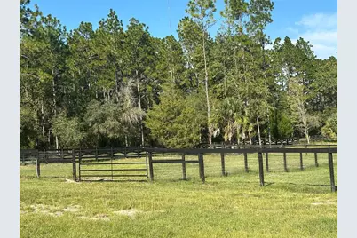11670 SE 55th Lane, Morriston, FL 32668 - Photo 7