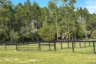 11670 SE 55th Ln, Morriston, FL 32668 - Photo 7