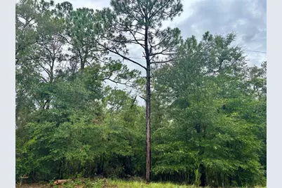 Lot 28 SW 206 Circle, Dunnellon, FL 34431 - Photo 3