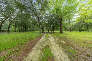 13250 NW 160th Ave, Morriston, FL 32668 - Photo 55