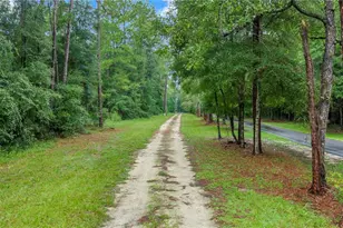 13250 NW 160th Ave, Morriston, FL 32668 - Photo 53