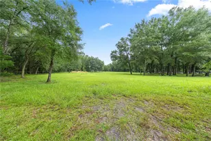 13250 NW 160th Ave, Morriston, FL 32668 - Photo 45