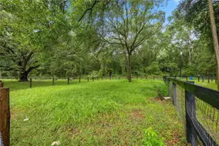 13250 NW 160th Ave, Morriston, FL 32668 - Photo 43