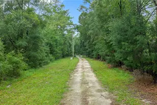 13250 NW 160th Ave, Morriston, FL 32668 - Photo 61