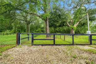 13250 NW 160th Ave, Morriston, FL 32668 - Photo 41
