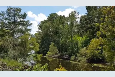 9438 SE Hwy 464C SE, Ocklawaha, FL 32179 - Photo 5