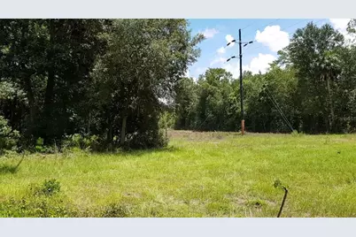 9438 SE Hwy 464C SE, Ocklawaha, FL 32179 - Photo 11