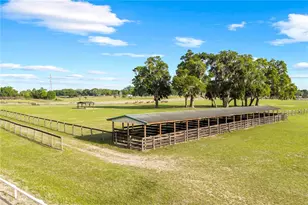 1345 NE 155 Pl, Citra, FL 32113 - Photo 59