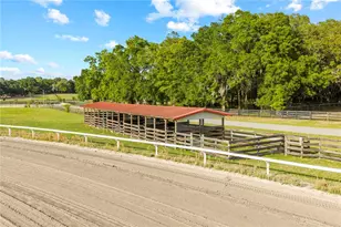 1345 NE 155 Pl, Citra, FL 32113 - Photo 55