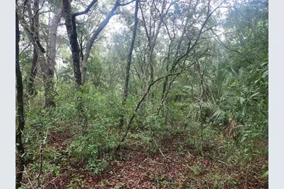Sw Sands Point Avenue, Dunnellon, FL 34432 - Photo 1