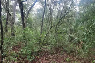 SW Sands Point Ave, Dunnellon, FL 34432 - Photo 1