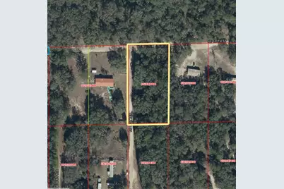 Tbd NE 81st Ter Drive, Bronson, FL 32621 - Photo 5