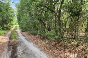 10920 SW 105th St, Ocala, FL 34481 - Photo 3