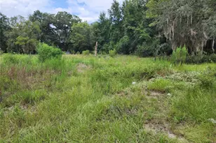 10920 SW 105th St, Ocala, FL 34481 - Photo 5