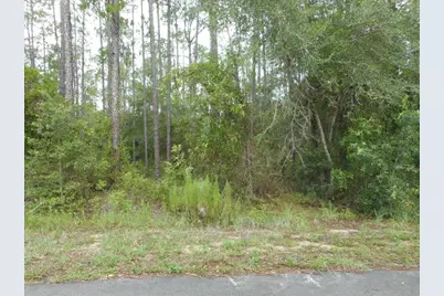 Lot 5 SW Southview Court, Dunnellon, FL 34431 - Photo 1