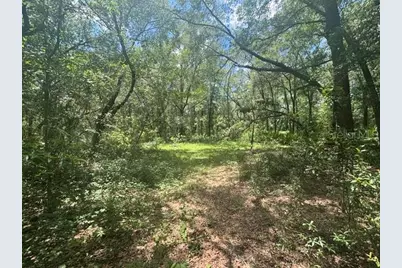 6594 N Gold Leaf Point, Dunnellon, FL 34433 - Photo 43