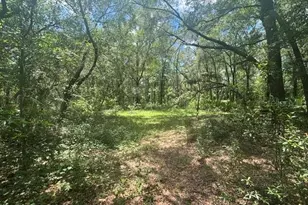 6594 N Gold Leaf Point, Dunnellon, FL 34433 - Photo 43