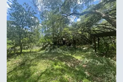6594 N Gold Leaf Point, Dunnellon, FL 34433 - Photo 47