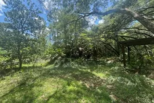 6594 N Gold Leaf Point, Dunnellon, FL 34433 - Photo 47