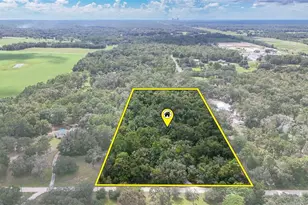 6594 N Gold Leaf Point, Dunnellon, FL 34433 - Photo 53