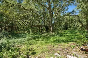 6594 N Gold Leaf Point, Dunnellon, FL 34433 - Photo 49