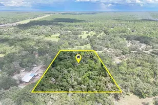6594 N Gold Leaf Point, Dunnellon, FL 34433 - Photo 59