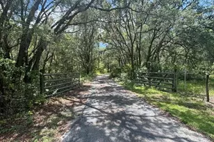 6594 N Gold Leaf Point, Dunnellon, FL 34433 - Photo 35