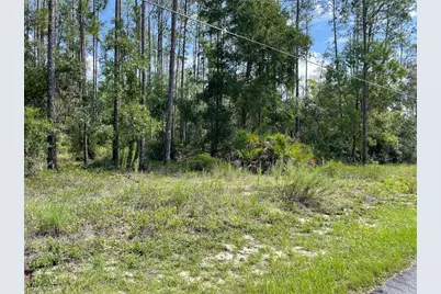 Lot 23 SW Tiger Lake Boulevard W, Dunnellon, FL 34431 - Photo 3