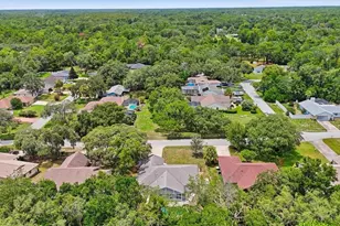 4179 S Winding Oaks Dr, Homosassa, FL 34446 - Photo 45