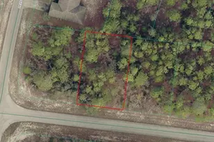 Tbd SW 138th Pl, Ocala, FL 34473 - Photo 1