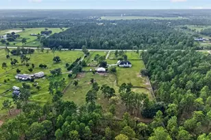 6351 SE 140 Ave, Morriston, FL 32668 - Photo 81