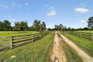 6351 SE 140 Ave, Morriston, FL 32668 - Photo 73