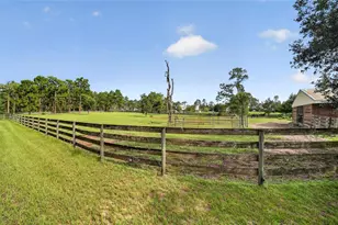 6351 SE 140 Ave, Morriston, FL 32668 - Photo 67