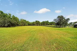 6351 SE 140 Ave, Morriston, FL 32668 - Photo 69