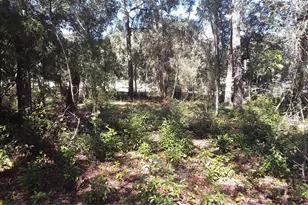 00 NW Chestnut Ave, Dunnellon, FL 34431 - Photo 1