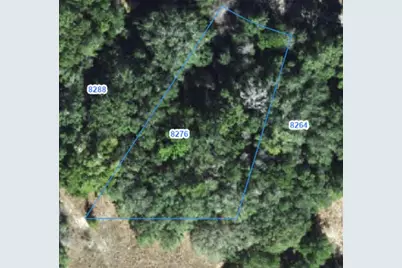 8276 N Elida Avenue, Dunnellon, FL 34434 - Photo 1
