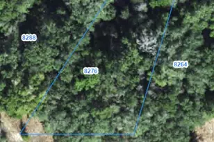 8276 N Elida Ave, Dunnellon, FL 34434 - Photo 1