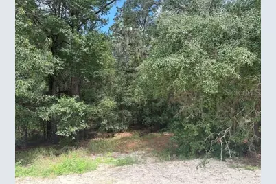 17833 SW 61st Lane Road, Dunnellon, FL 34432 - Photo 11