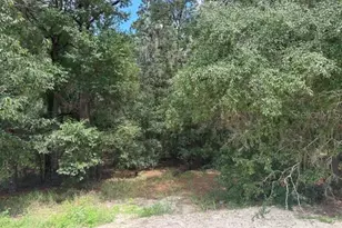 17833 SW 61st Ln Rd, Dunnellon, FL 34432 - Photo 11
