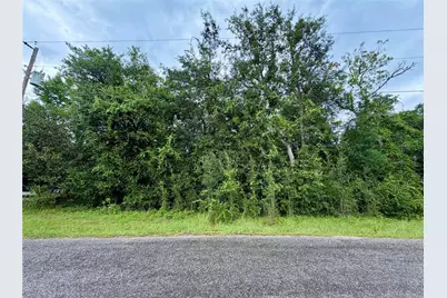0 SE 175th Ter Rd, Silver Springs, FL 34488 - Photo 1
