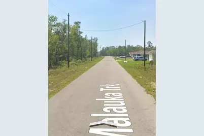 Malauka Trak, Ocklawaha, FL 32179 - Photo 3