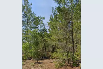 Malauka Trak, Ocklawaha, FL 32179 - Photo 5