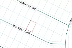 Malauka Track, Ocklawaha, FL 32179 - Photo 1