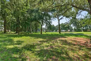 11093 SW 69th Cir, Ocala, FL 34476 - Photo 5