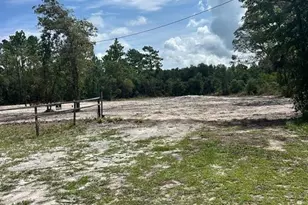 8393 SW 148th Ln, Dunnellon, FL 34432 - Photo 1
