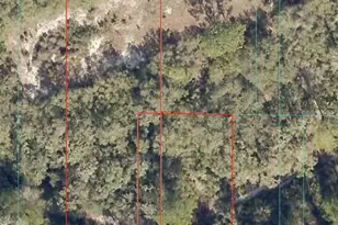 NE 151 Ln, Fort Mc Coy, FL 32134 - Photo 1