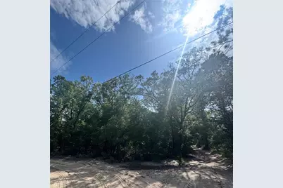 Tbd SW 65th Avenue, Dunnellon, FL 34432 - Photo 1